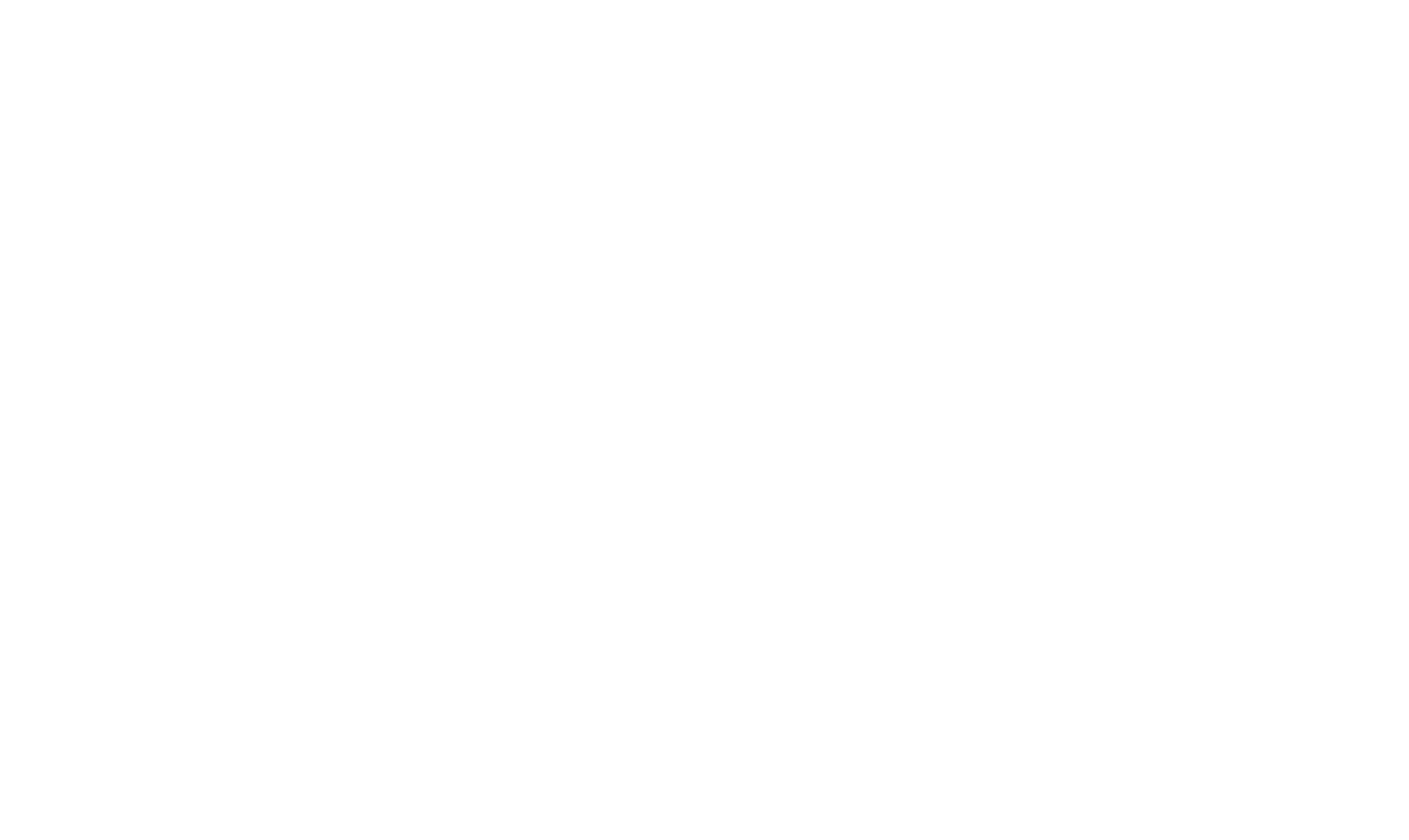 The Flawless Experience logo